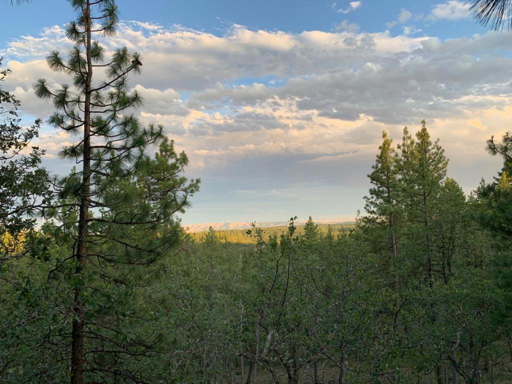 فندق Treehouse Ranch Goldendale المظهر الخارجي الصورة